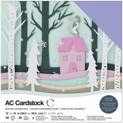 Best Pirce ✨ American Crafts™ Winter Variety Cardstock Pack 12" x 12" 🤩