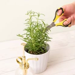 Coupon 🥰 American Crafts™ Cutter Bee™ Herb Scissors ✔️ -American Crafts Sales D616832S 4